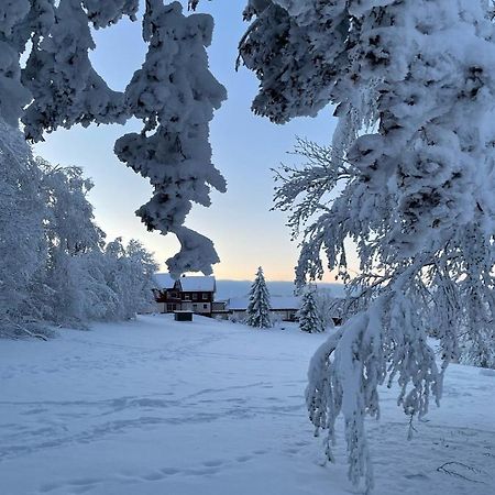 Gemuetliche Ferienwohnung Harz Braunlage Hohegeiss Екстериор снимка