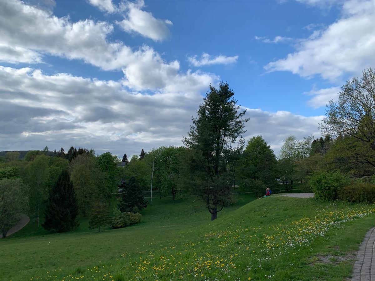 Gemuetliche Ferienwohnung Harz Braunlage Hohegeiss Екстериор снимка